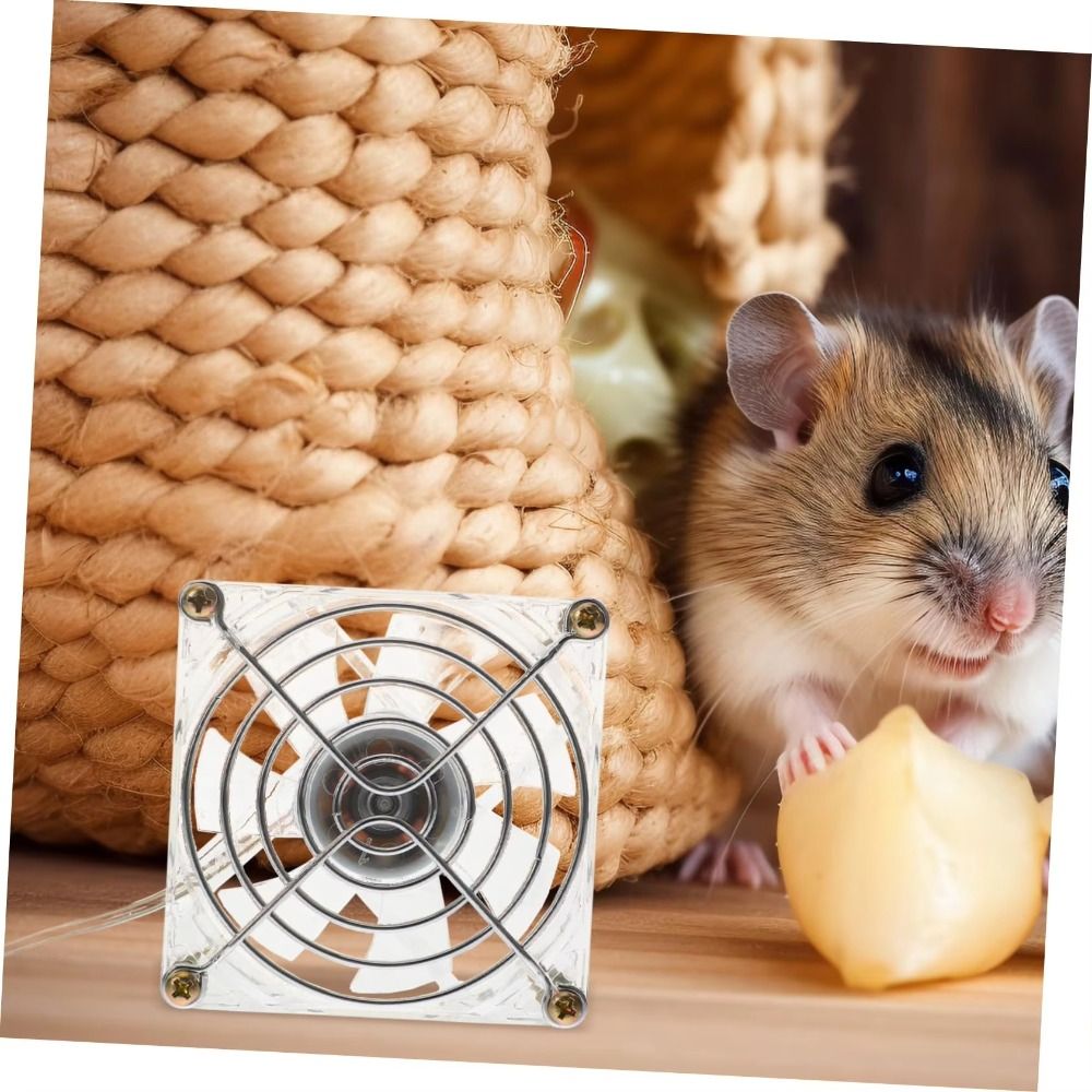 Usb Fan Silent - Мини-вентилятор для хомяков из акрила, USB,